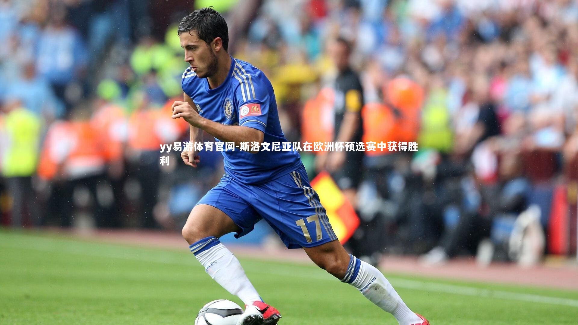 斯洛文尼亚队在欧洲杯预选赛中获得胜利